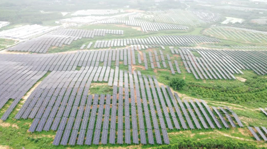 光耀世界丨賦能“大灣區”！晶澳科技n型組件助力中國能建350MW項目落地粵西