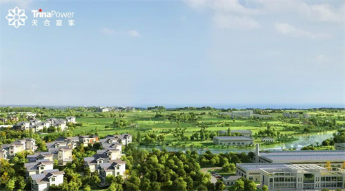 分布式光伏“大浪淘沙” 什么是打造新質(zhì)生產(chǎn)力的關(guān)鍵？