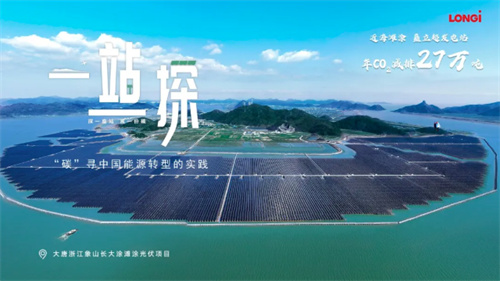 震撼！63.7萬(wàn)塊隆基組件建起灘涂上的鋼鐵森林