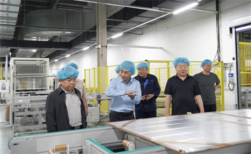 河北省科技廳副廳長(cháng)張永強一行赴英利發(fā)展調研產(chǎn)業(yè)科技創(chuàng  )新情況